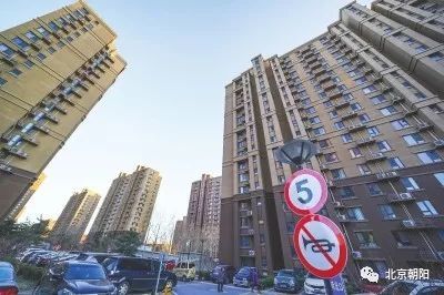 朝阳群众最新动态,朝阳群众辉煌战绩