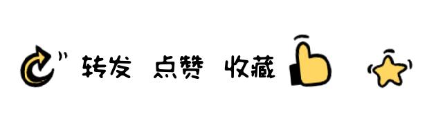 湖北新岸线科技有限公司年会,湖北新岸线科技有限公司靠谱吗