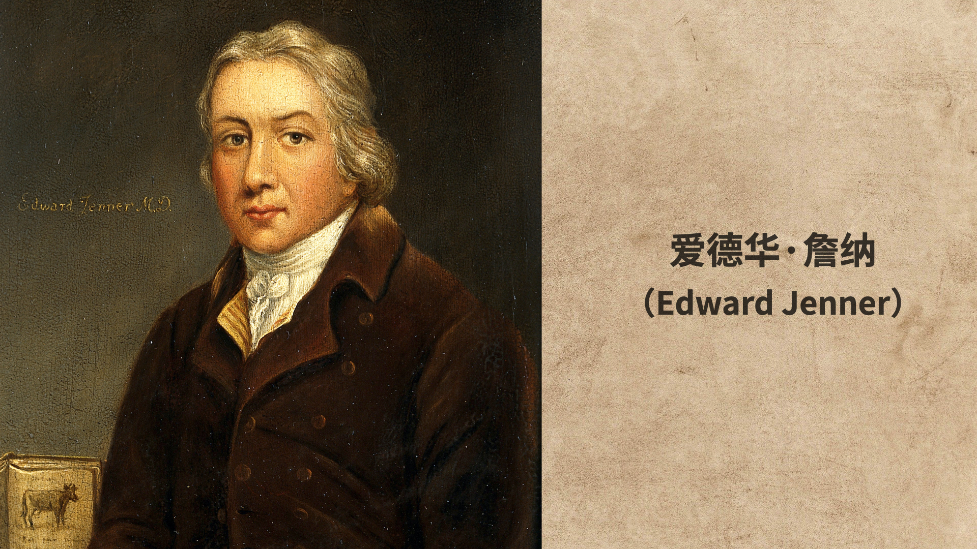 全球五到八年致命病毒,全球致命病毒以及致死人数