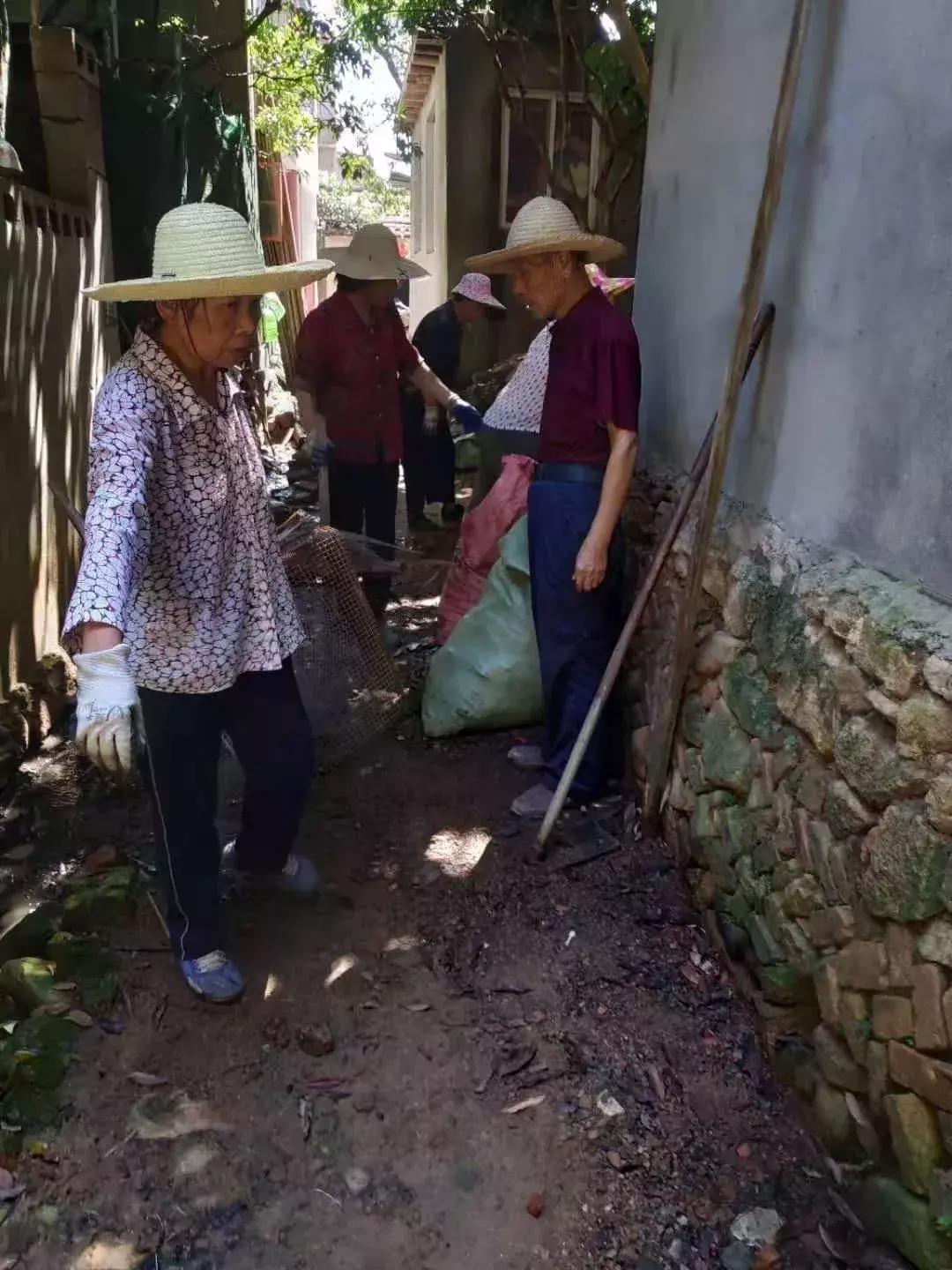 我市两镇获评国家卫生乡镇,争创省级卫生镇