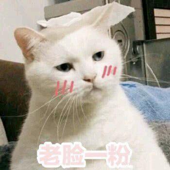 贴吧衰败了吗,贴吧繁荣时期