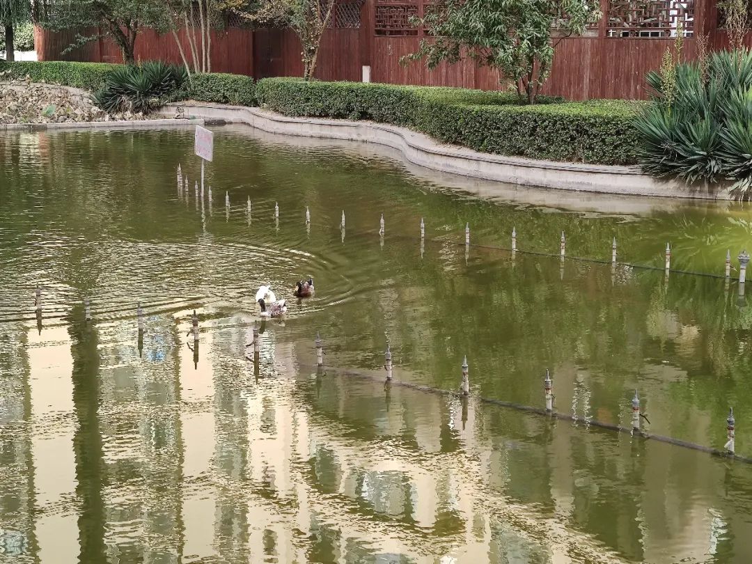 实探一线湖景房,石家庄房产探盘排行榜前十名