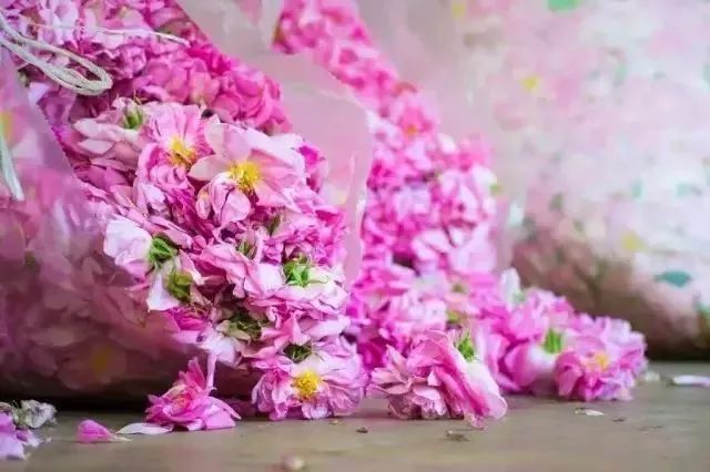 丹泽欧雅,丹泽欧雅富勒烯多肽焕颜面膜