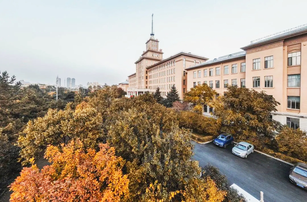 数学系排名力压北大清华曲阜师大,南开和北师大数学谁强