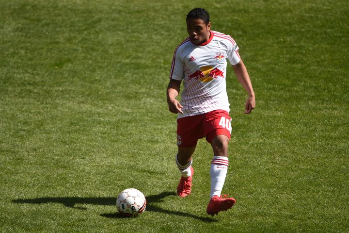 菲律宾归化球员几个,菲律宾归化了多少球员