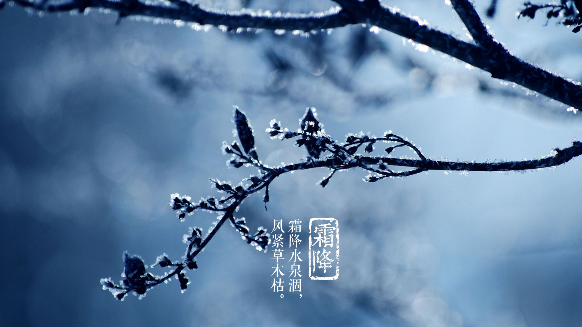 霜降养生最适合喝的粥介绍,霜降多胃病专家推荐三款养胃餐