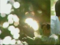 曾经觉得很土的歌,2019年的北京夏天