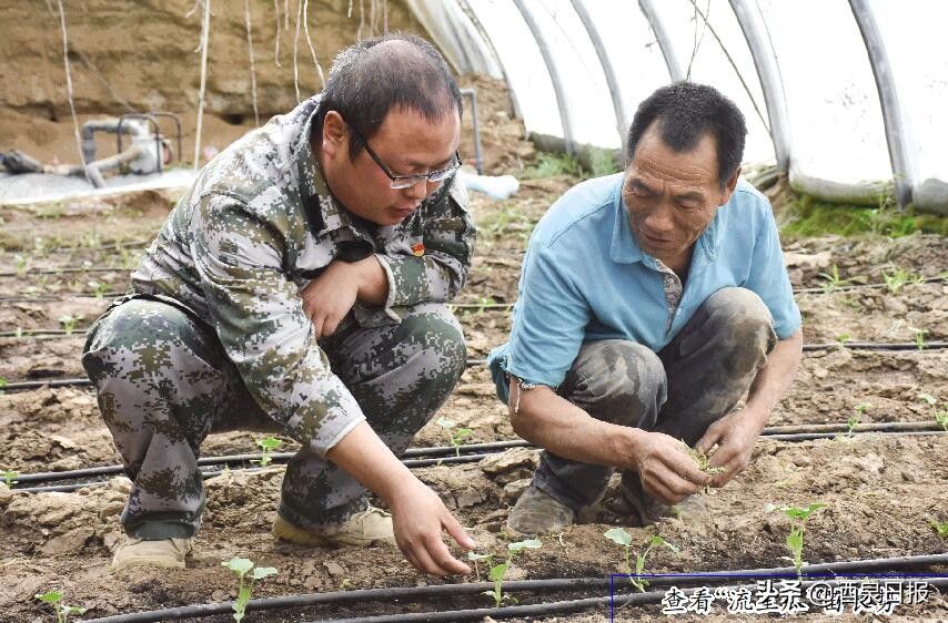 瓜州县：建好合作社托起致富梦