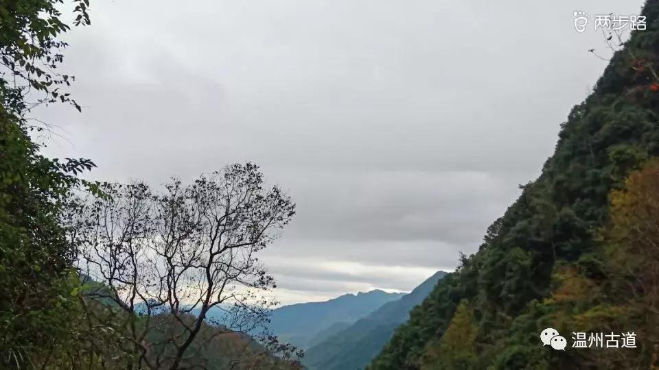 温州茶山红枫古道,浙江温州永嘉红枫古道