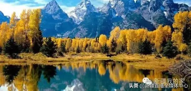 *疆新**人这么牛逼，你不知道吧