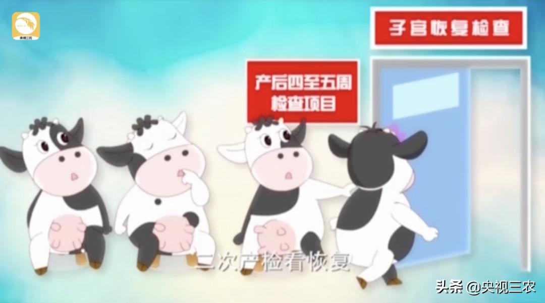 牛粪别扔，这么处理还有国家补贴