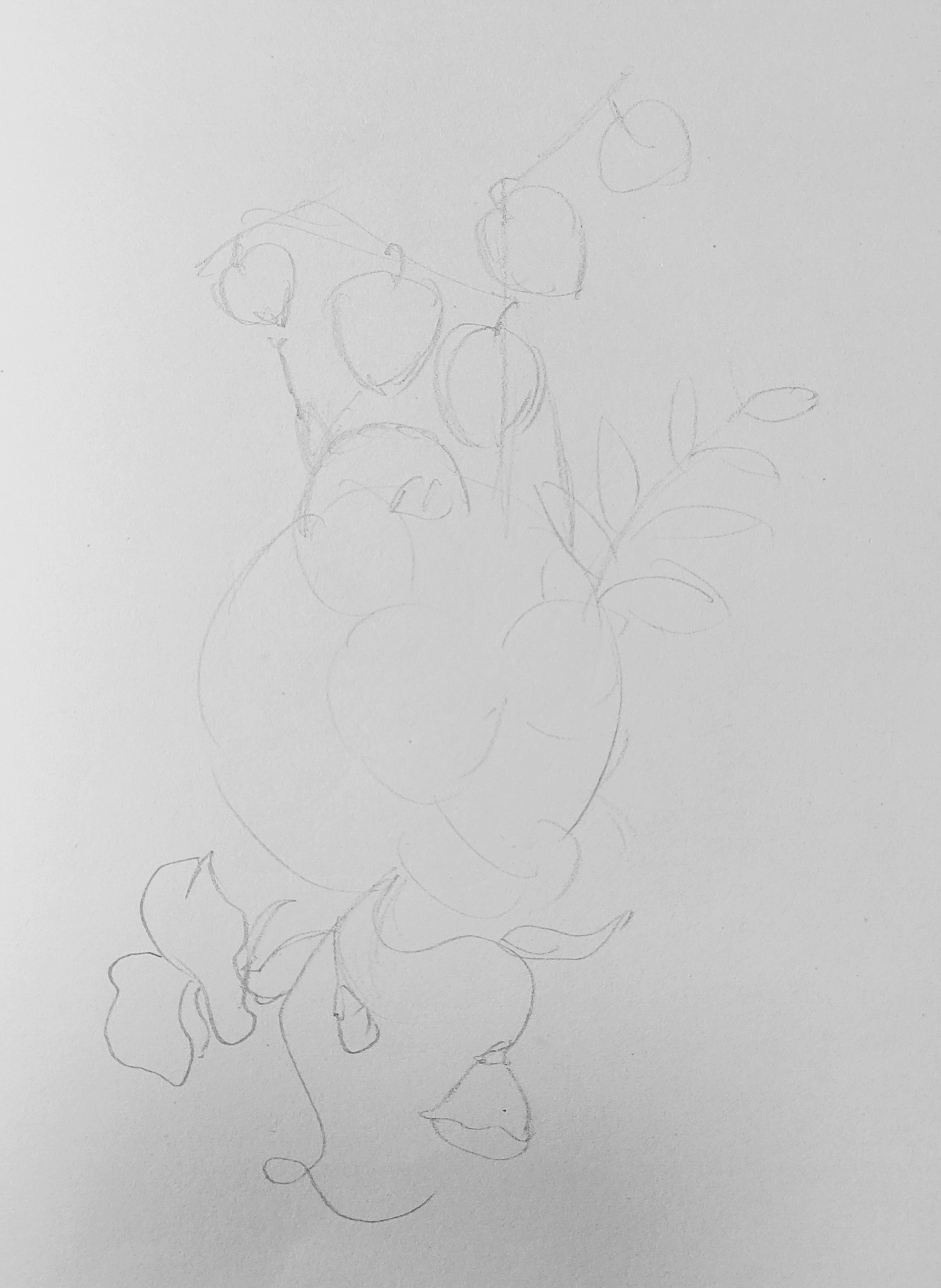 花卉线描简笔画,画花卉教程简笔画