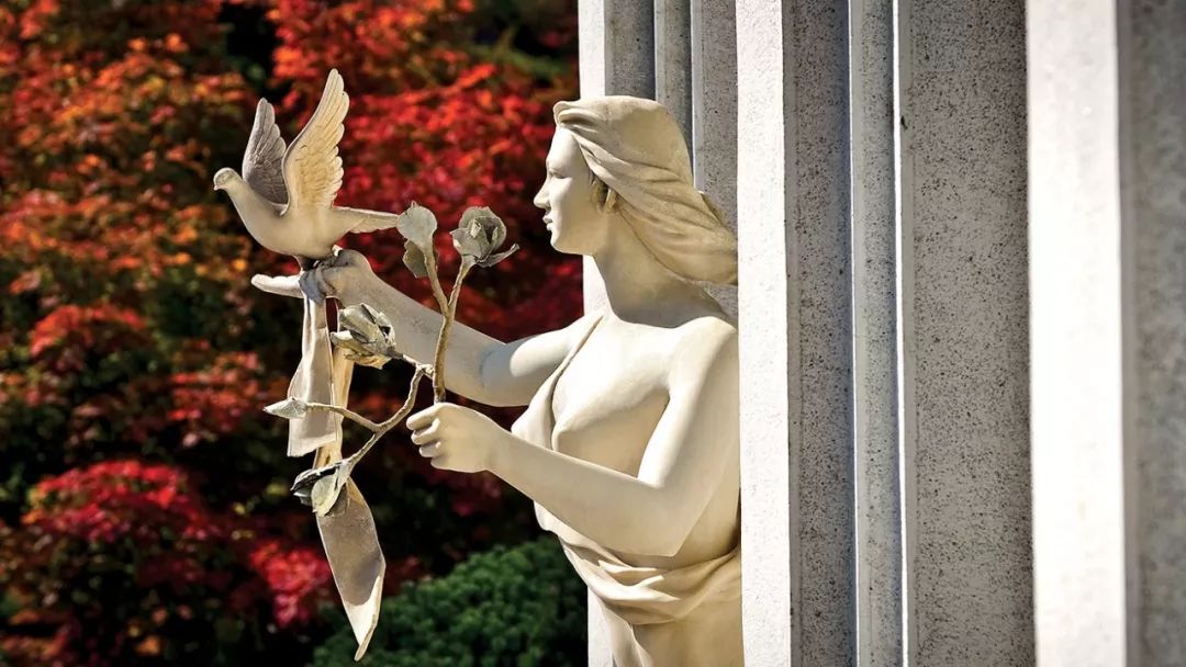 留学韩国的真实生活,选择韩国留学的原因