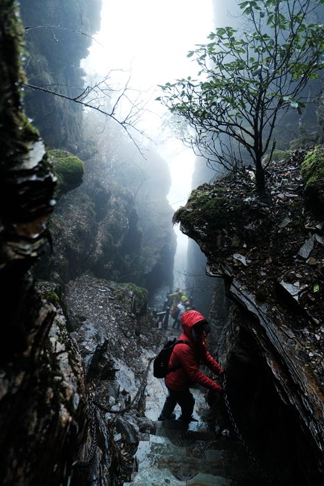 雨中的梵净山景色,烟雨梵净山