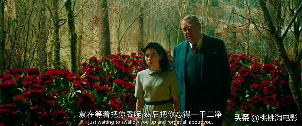 憋了很久，还是很想聊聊这部奥斯卡影后大热