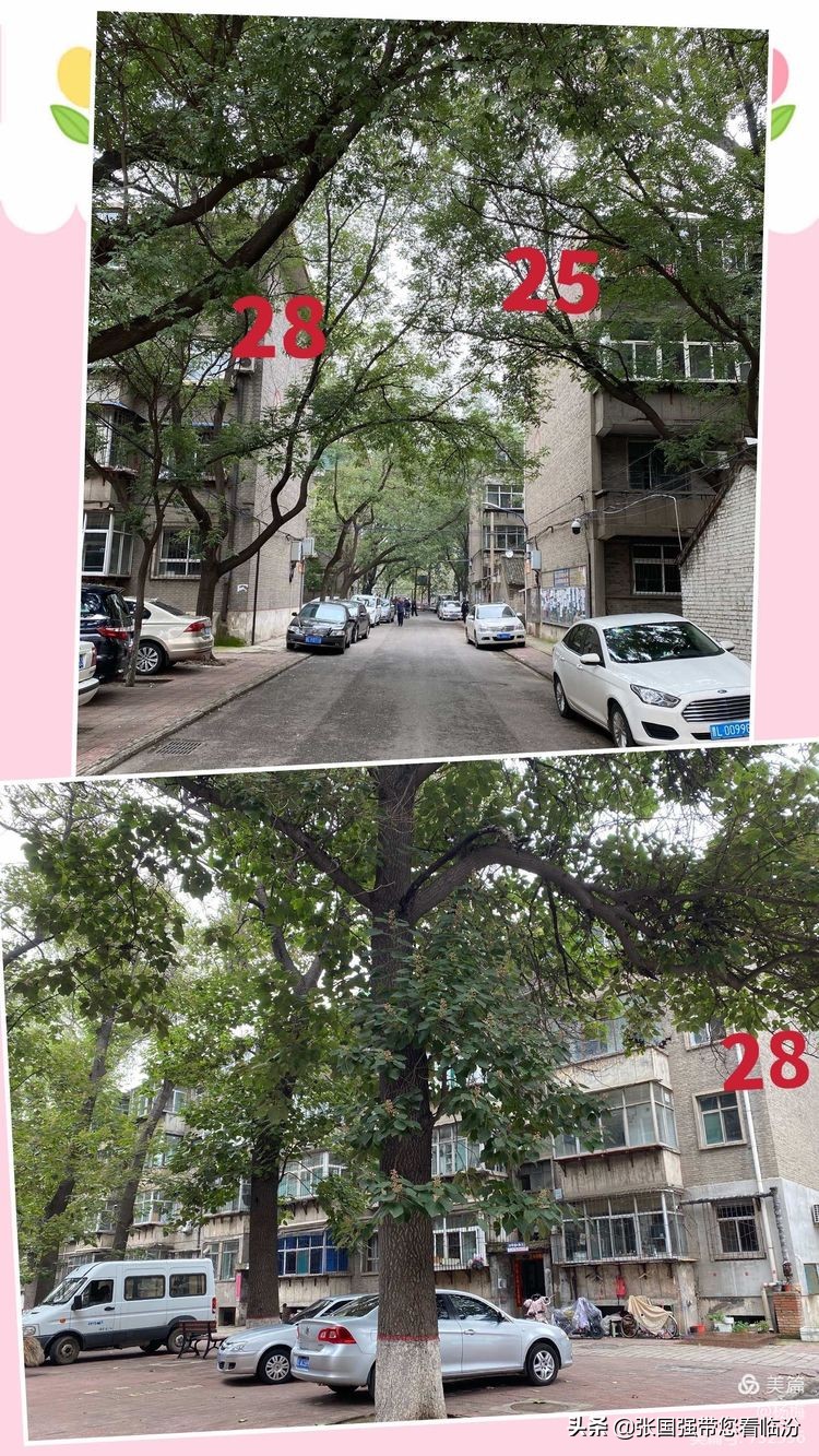 山西师范大学记忆馆,再回首山西师范大学