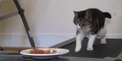 <html>
<head><title>502BadGateway</title></head>
<body>
<center><h1>502BadGateway</h1></center>
<hr><center>nginx</center>
</body>
</html>
<!--apaddingtodisableMSIEandChromefriendlyerrorpage-->
<!--apaddingtodisableMSIEandChromefriendlyerrorpage-->
<!--apaddingtodisableMSIEandChromefriendlyerrorpage-->
<!--apaddingtodisableMSIEandChromefriendlyerrorpage-->
<!--apaddingtodisableMSIEandChromefriendlyerrorpage-->
<!--apaddingtodisableMSIEandChromefriendlyerrorpage-->
