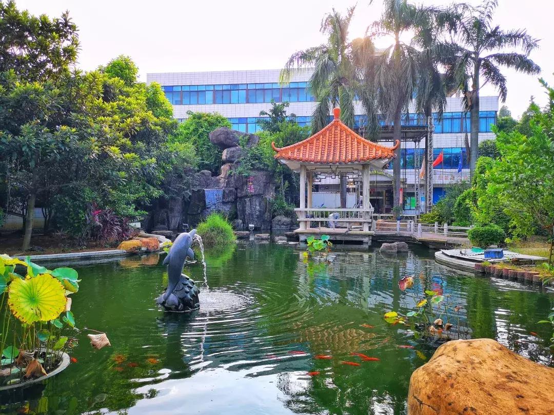 卡福专业音响品牌怎么样,卡福ktv音响是什么水平