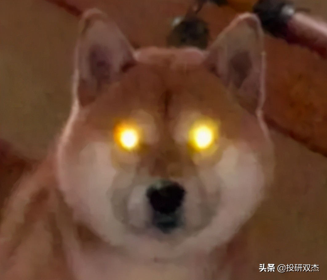 从穷到富的真实事件,从穷山恶水到富庶之地