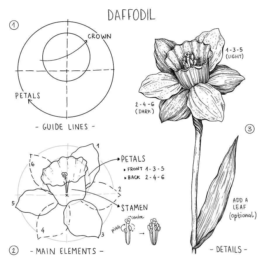 一看就懂的针管简笔画,针管笔入门手绘1000例临摹图