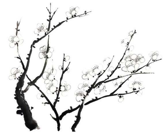 零基础梅花花朵入门画法,零基础学国画梅花入门步骤
