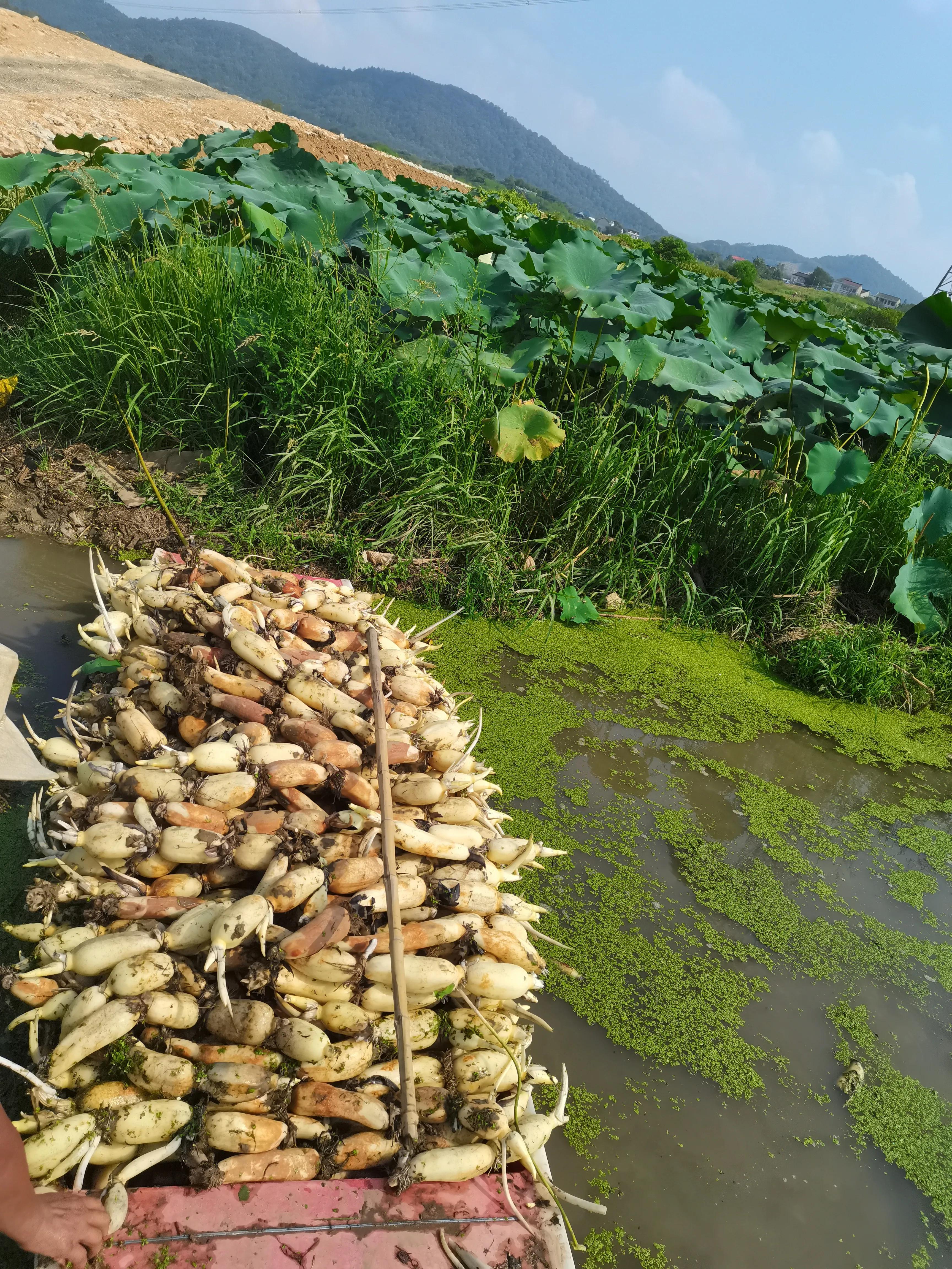 法人会是啥,法人变更是要破产了吗