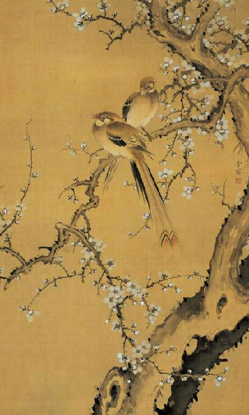 陈之佛工笔花鸟画技法解析,陈之佛花鸟画教程视频