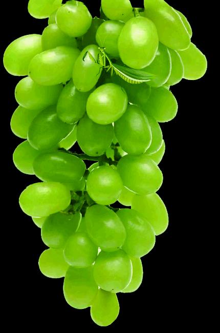 大年初三群相册，有群的都看看，太美了，这辈子见一次值了