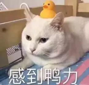 郑州有什么副业可以做的,在郑州干什么可以月入1万以上