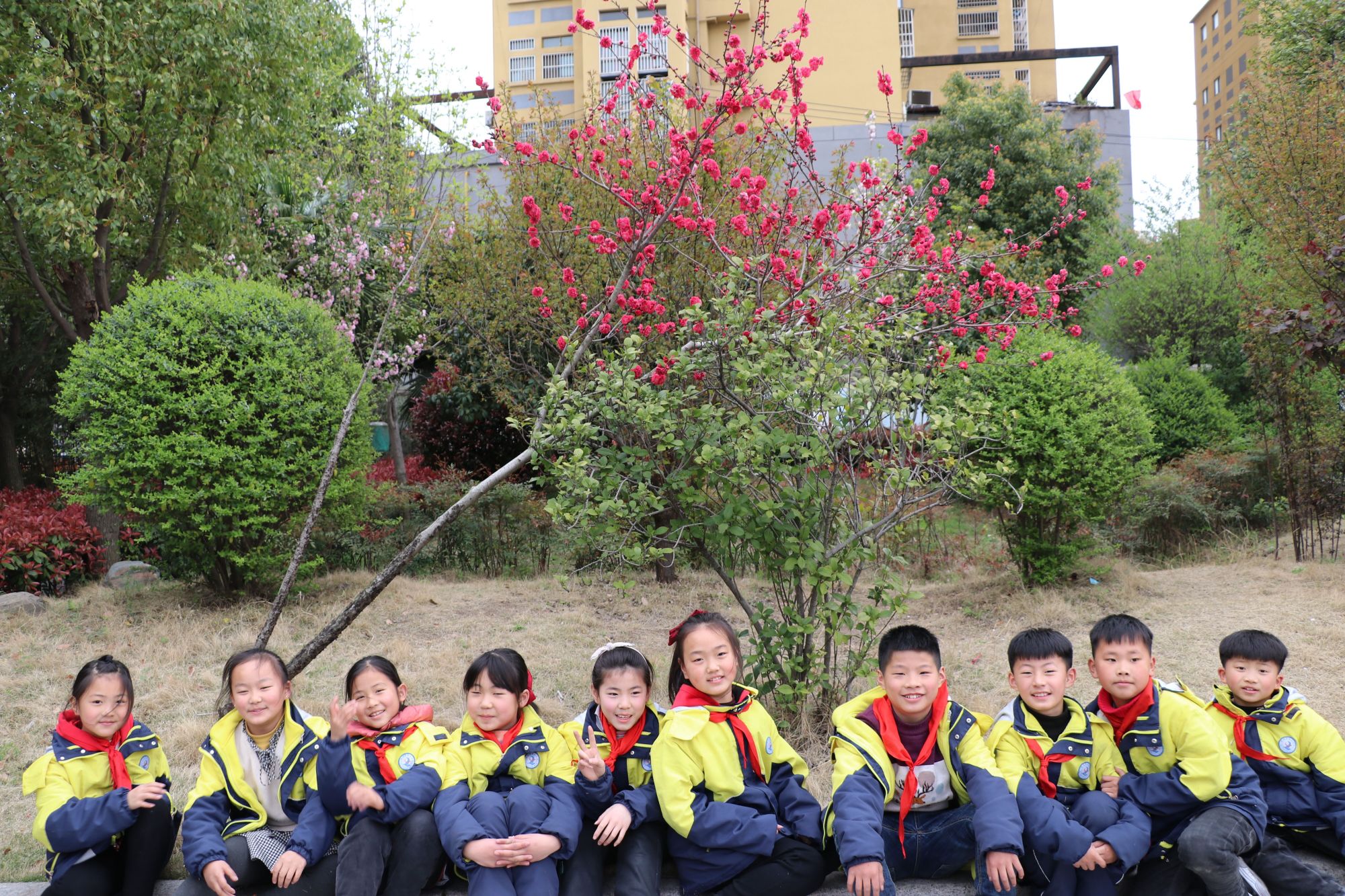 阜南9岁小孩,阜南第九小学校的视频