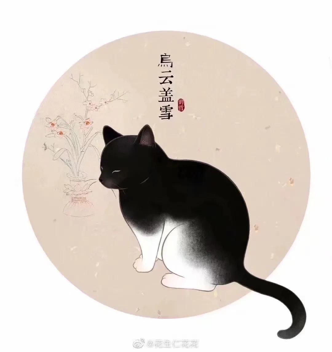 猫在古代是如何看待猫的,古人按猫的颜色分类