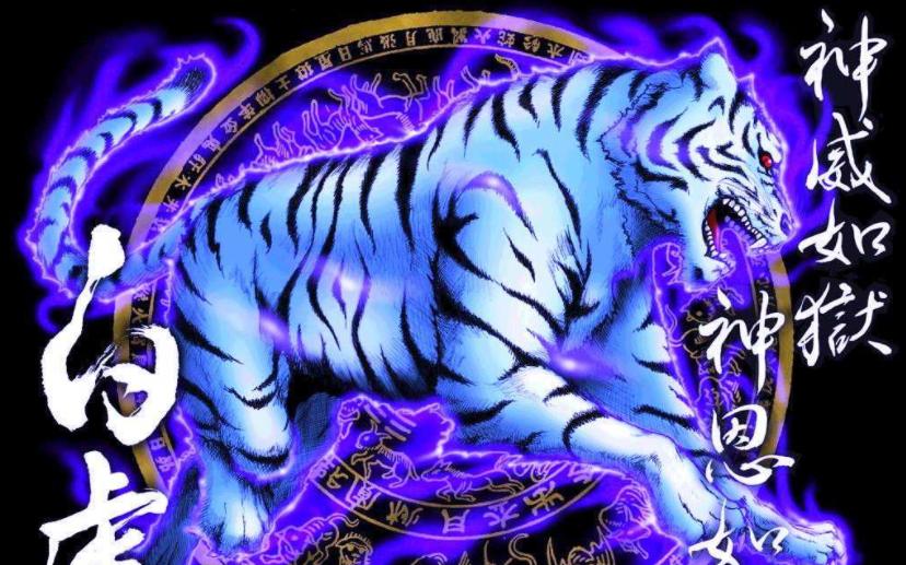 左青龙右白虎分解,左青龙右白虎的深度解析