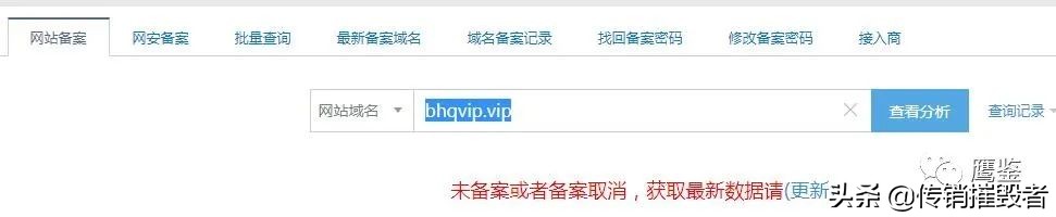 柚子币区块链被骗,柚子币传销案