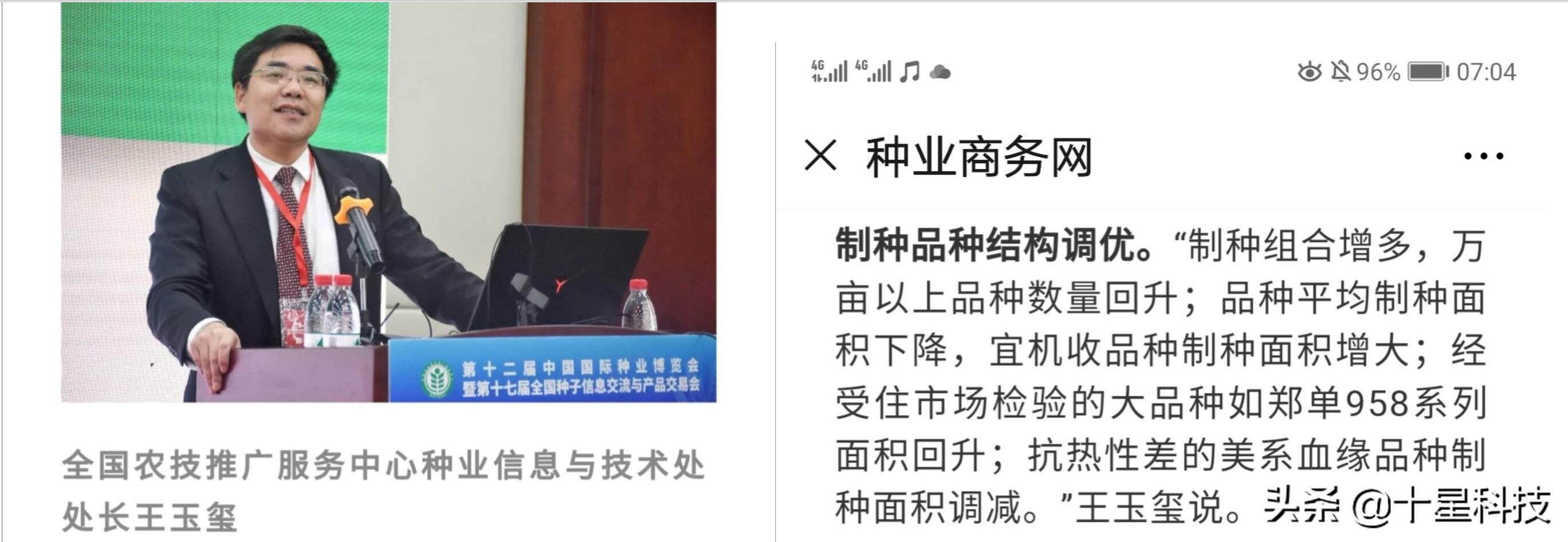 玉米不一样的品种可以混播吗,玉米混播高产吗