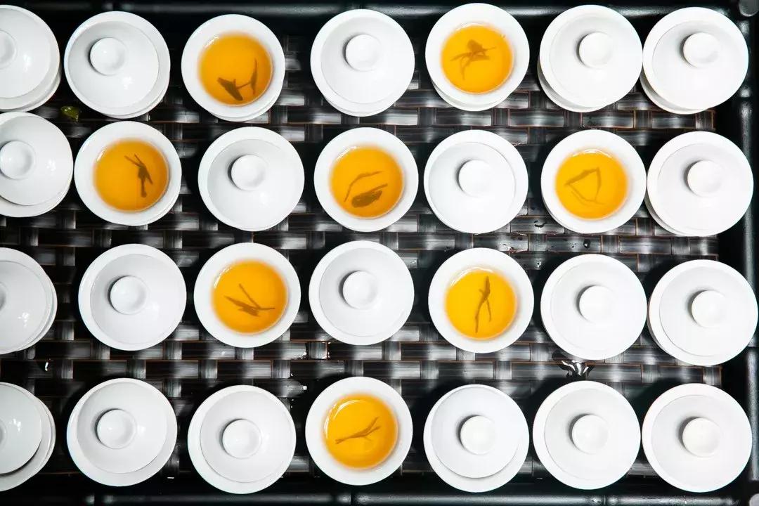 成都网红树屋,网红树屋成都