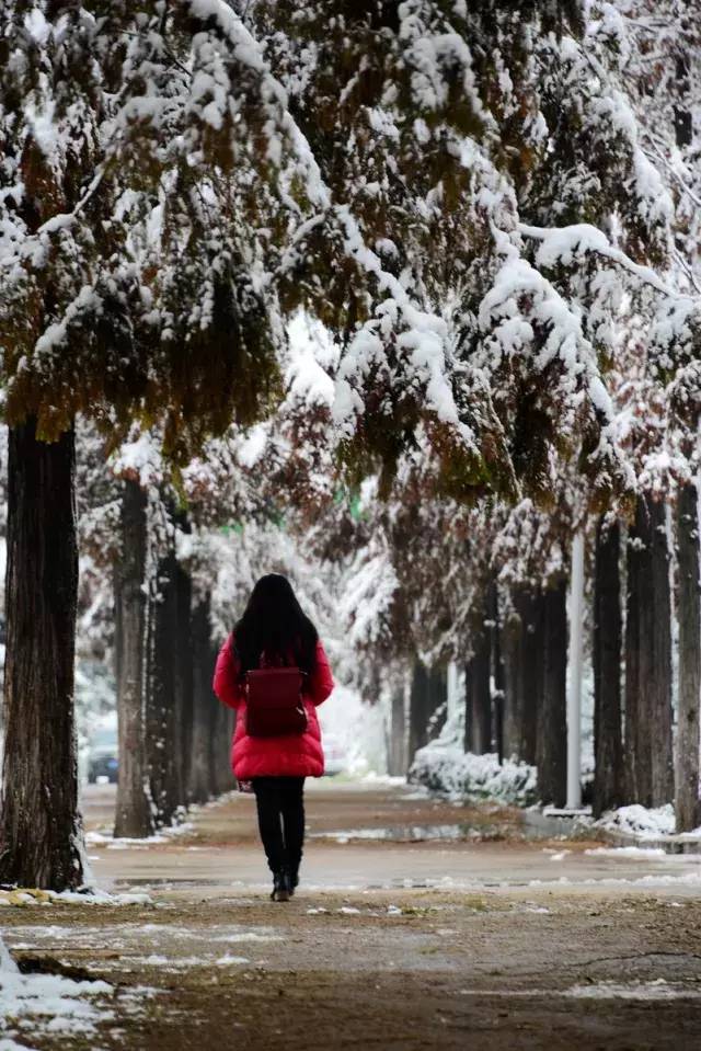 颜值爆城！云龙湖边的这所高校，今年要提前招你...