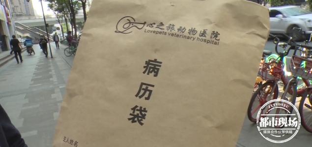 猫咪便血说明猫瘟好了,猫咪绝育以后导致呕吐粉红液体