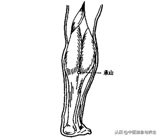 体内水湿怎么去除？按揉穴位即可解决！