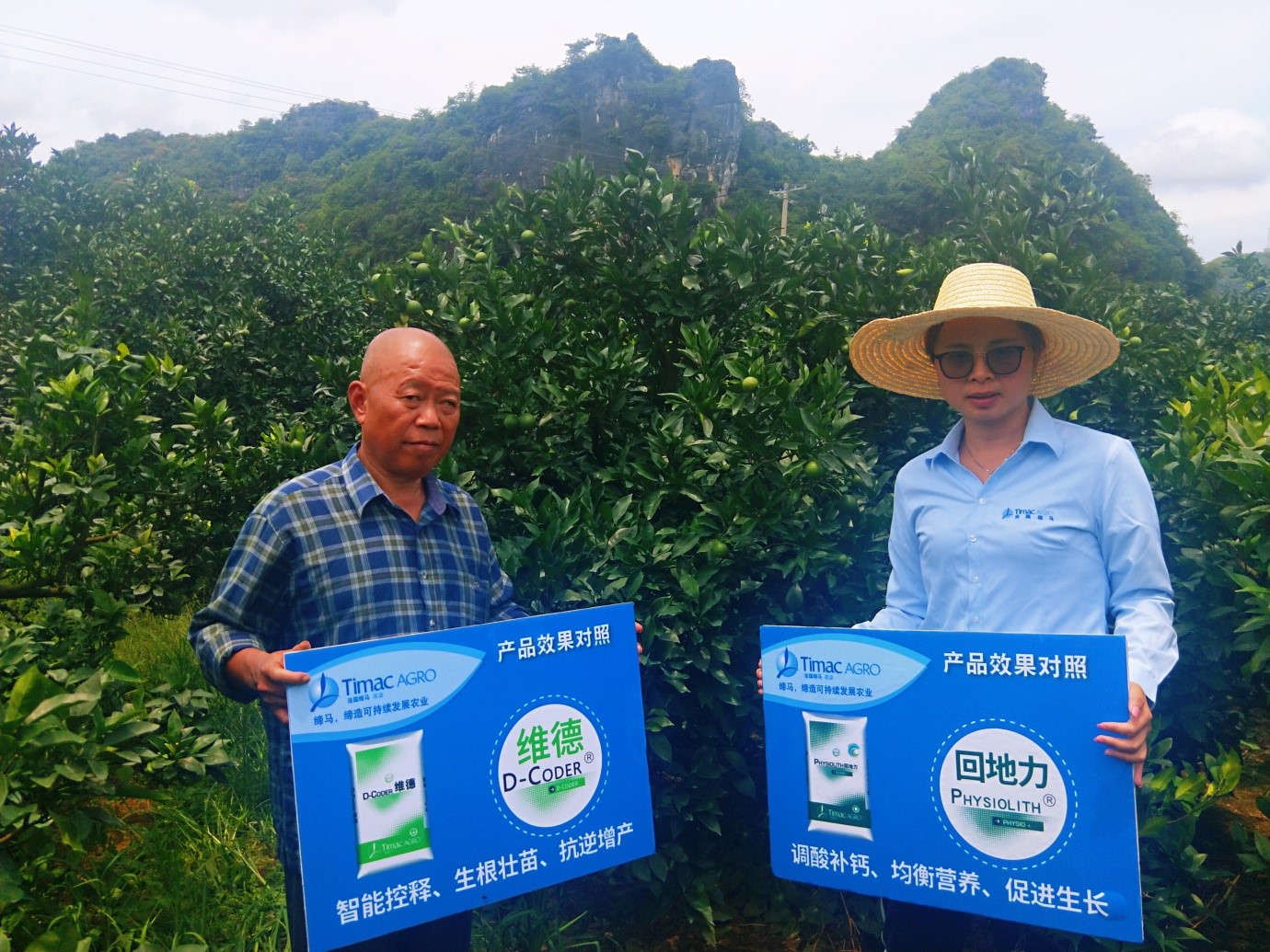 缁村痉缂旈┈鑲ユ枡閰嶆瘮,缁村痉鑲ユ枡鑲ユ晥