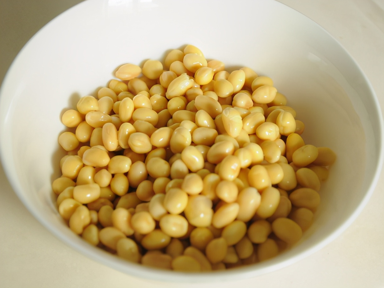 学会这个方法再也不用买豆芽了,豆芽不用买用塑料瓶就能发豆芽