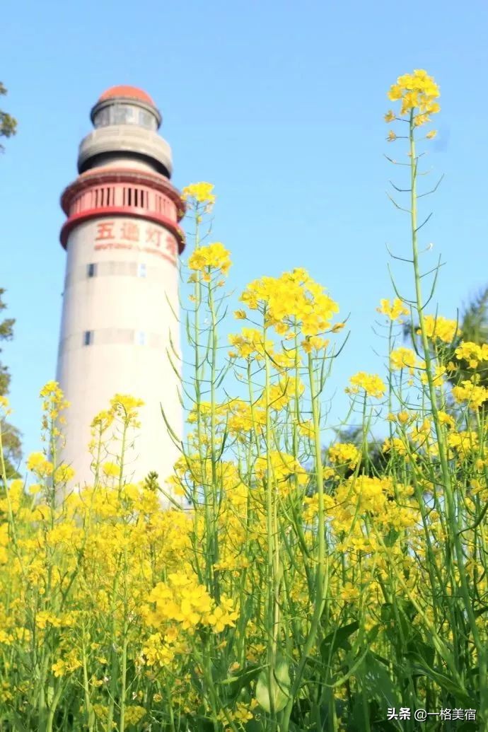 厦门五日游必去十大景点有哪些,厦门一日游必去的五个景点