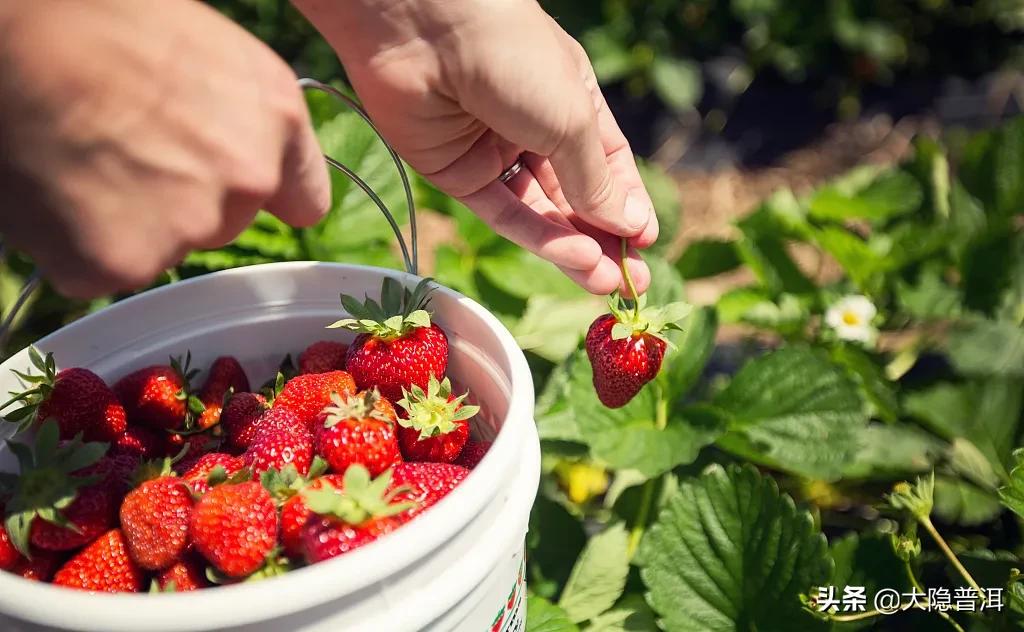 云南必去的10个宝藏打卡地,云南宝藏打卡圣地