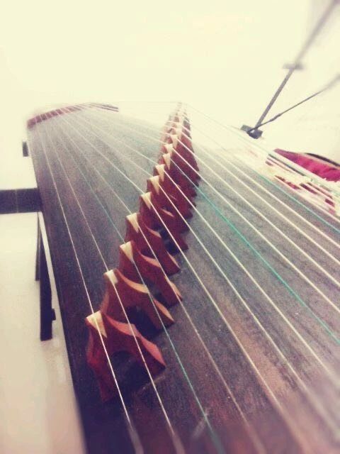 *伤杀**力大潜伏期长!你的古筝也需要“防疫”