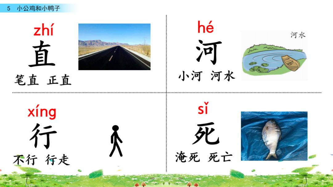 小公鸡和小鸭子一年级下册视频,一年级下语文小公鸡和小鸭子讲解