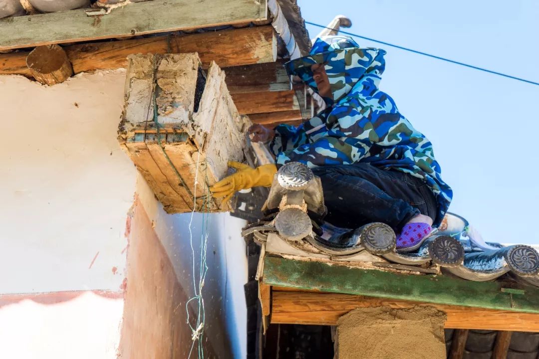 土蜂蜜取蜜全过程,土蜂蜜正确取蜜方法