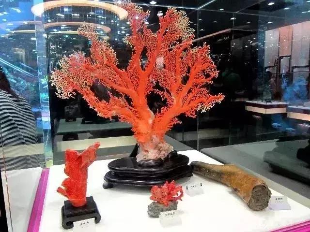 台湾红珊瑚博物馆雕刻作品展,台湾故宫最大的红珊瑚