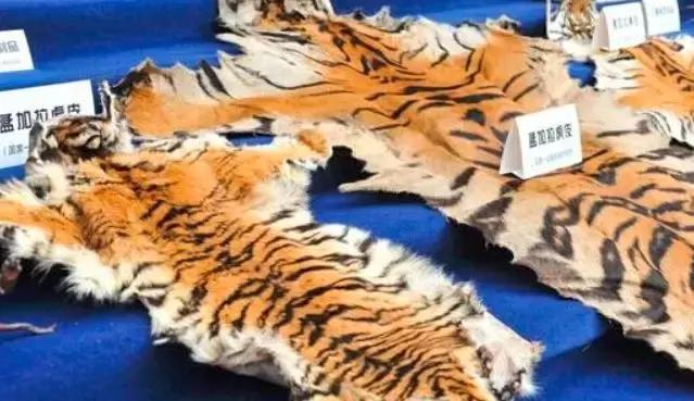 男子携带文物出境海关被拦下,男子入境澳洲被海关拦下