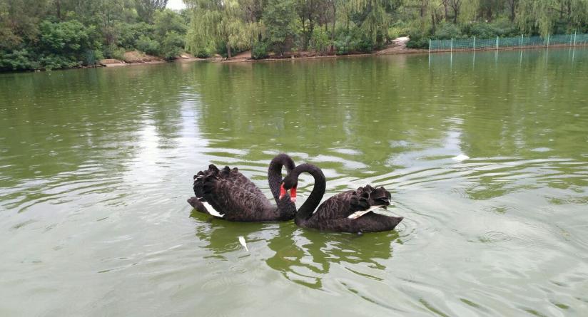 辽宁景区网红打卡地图,沈阳打卡景点公园