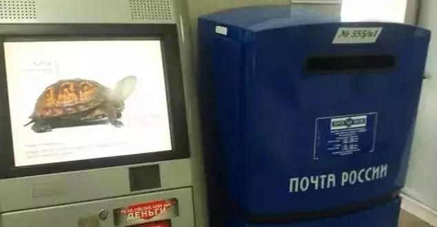 外国人羡慕中国治安有多好,为什么外国人羡慕中国男人