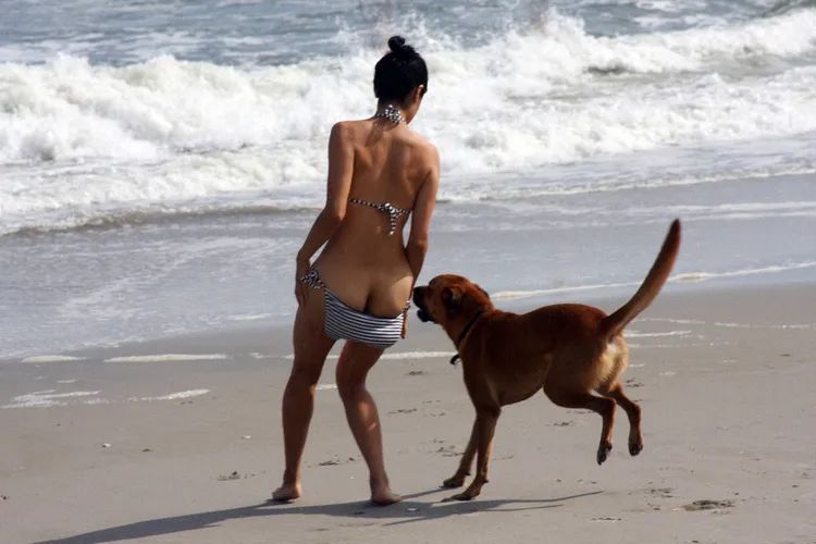 15倍价钱从苏富比拍来的Prada，要供奉在哪儿才好膜拜？